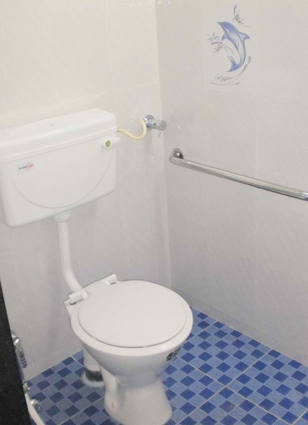 A new seated toilet with a grab bar mounted on the wall and a dolphin decal